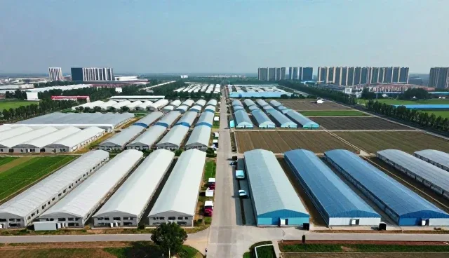 应急响应服务中技术支持的常见问题与应对策略